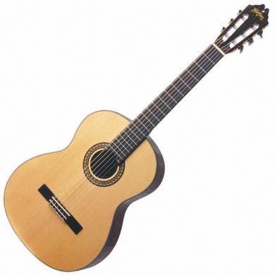 GUITAZRRA (ACUSTICA)